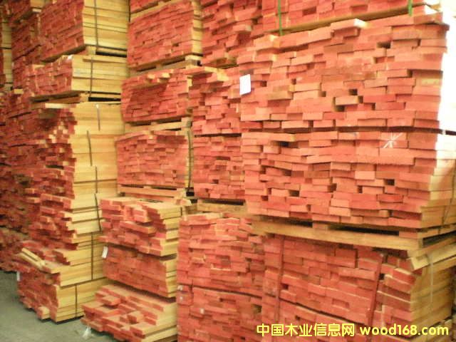 櫸木的詳細(xì)介紹