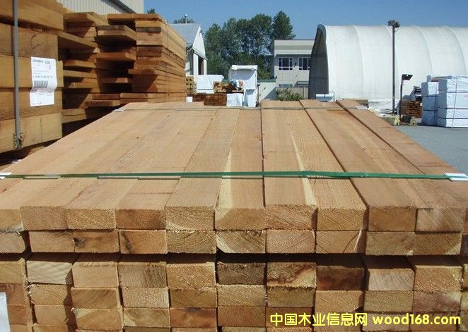 tѩɽ(jng)(j)^(j)Ԕ(x)B