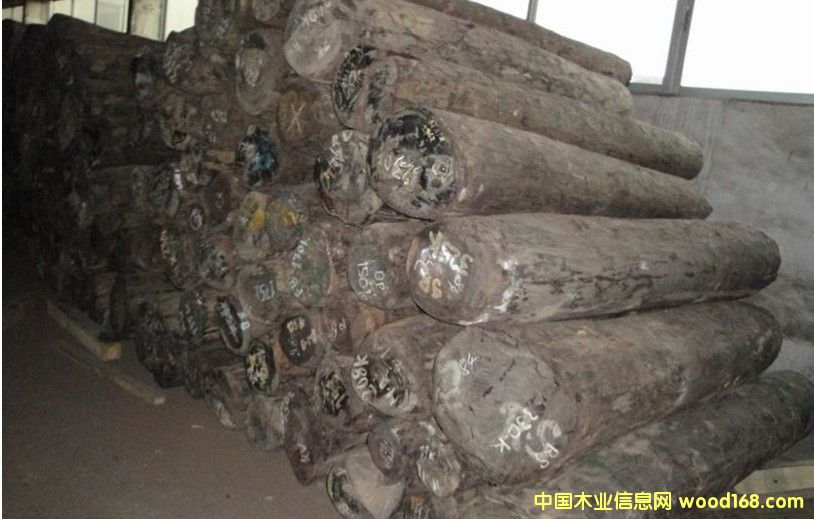 ~̴/RϺS̴/R_˹S̴-DalbergiaԔB