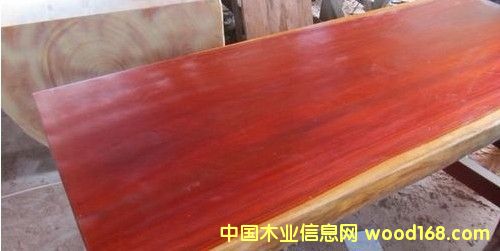 ̴/޻/PterocarpustԔB