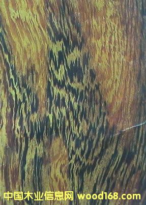 uľuСuᾒuľ-MڈPԔB