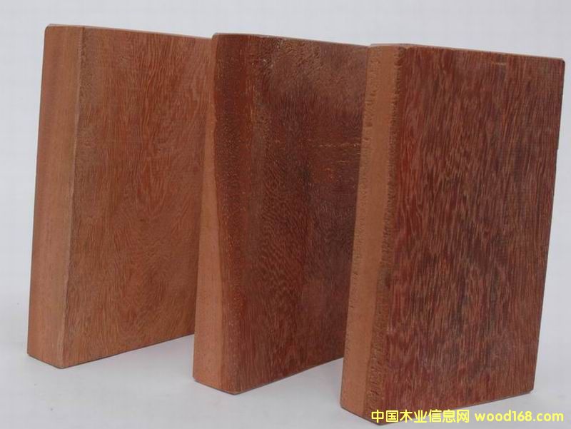 紅鐵木的詳細介紹