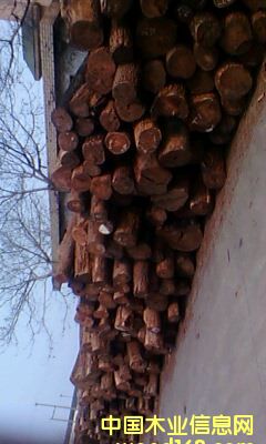 c鿴С~t̴ƷԭľŴDƬ