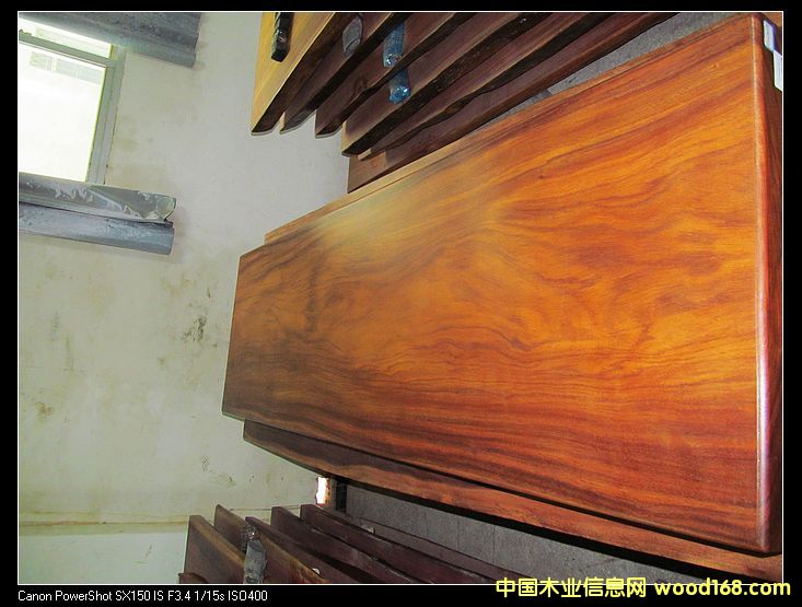 非波的詳細介紹