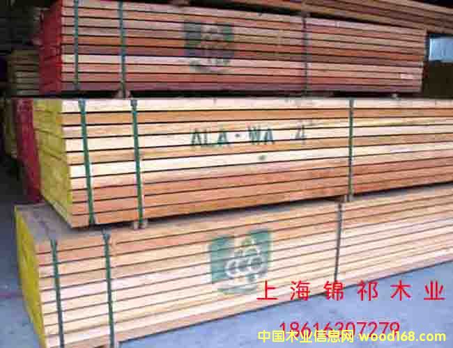 柳按木的詳細介紹