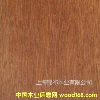 山樟木的詳細介紹