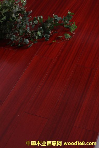 ·ƹ(yu)|ɳľͺϵذԔB