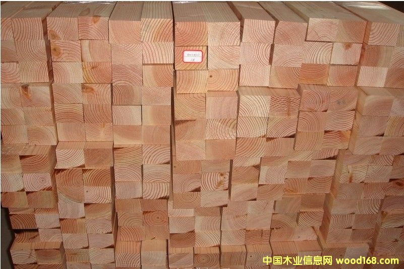 [] ɹŵ̼yľ|̼̼yľ||ɿ̼yľr