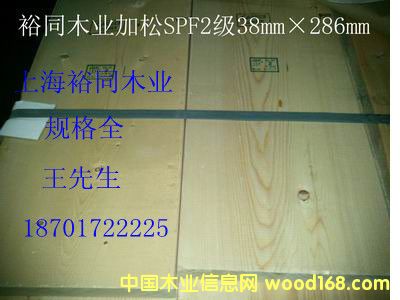 加松的詳細介紹