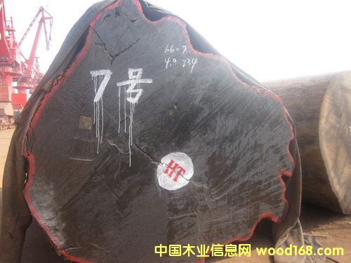 巴花的詳細介紹