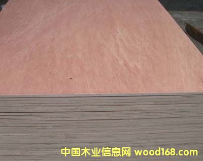 E1zһоҾ߰壬ͨzӰԔB