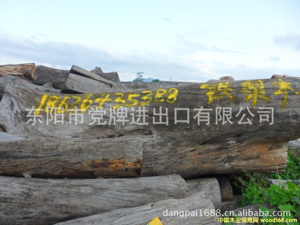 鐵梨木的詳細介紹