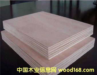 c(din)鿴Ҿ߰zϰŴDƬ