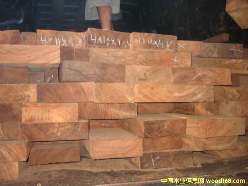 �߼��Ҿ���ľ Zenisero