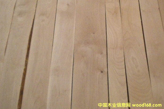 赤樺木的詳細介紹