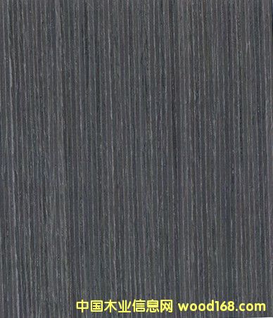 ˮϴľƤ V|ľƤS ľƤ