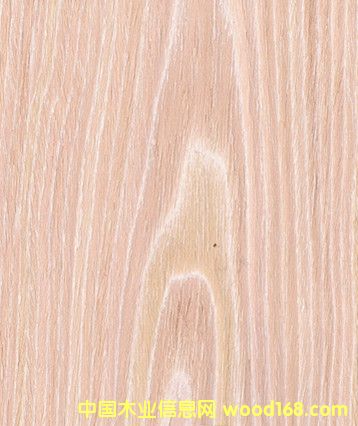 ˮϴɽyľ ˮϴľƤӰ ľƤS