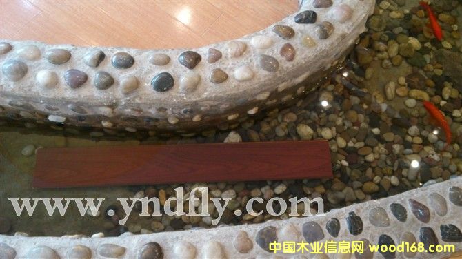 °l(f)GԴ h(hun)ذԔB