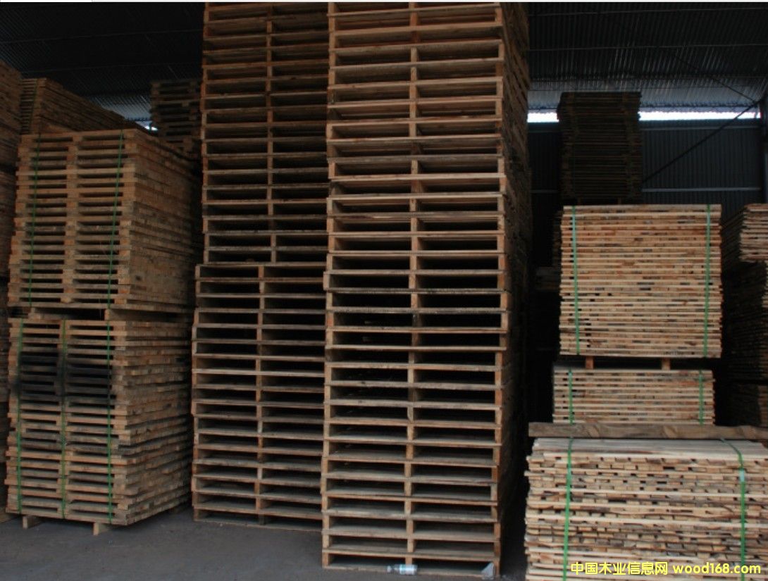 (sh)ľбP(pn)ľ|(zh)бP(pn)ɶ