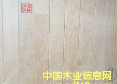 ľwľذwww.tipurunsheng.comԔB