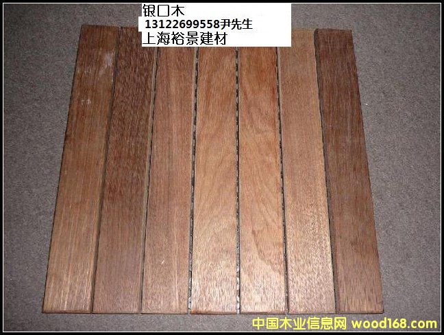 銀口木的詳細介紹