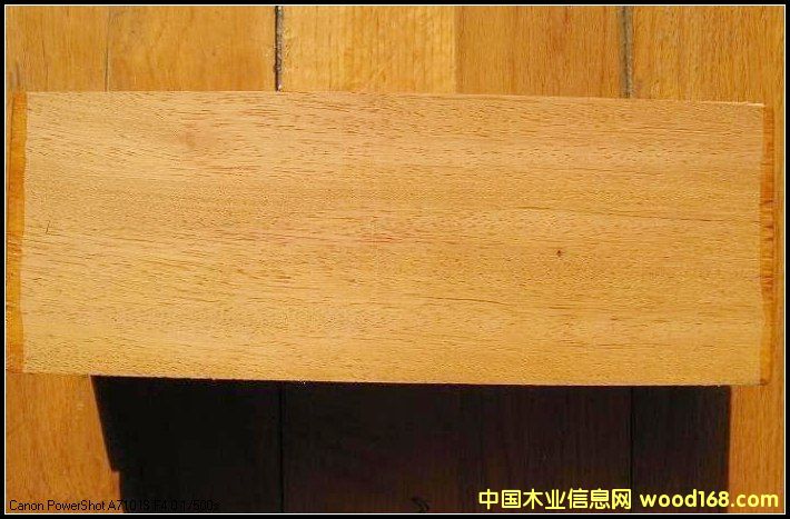 巴蒂木的詳細介紹