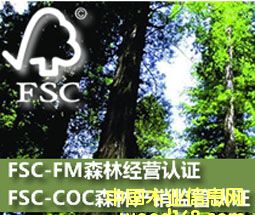 c鿴PEFCɭJCwϵJӋŴDƬ