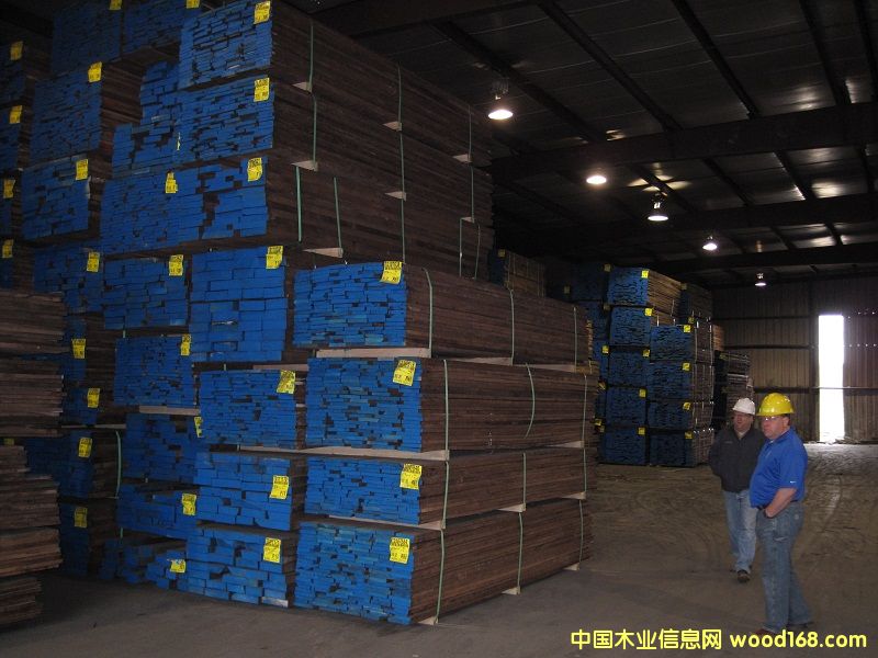 黑胡桃的詳細介紹