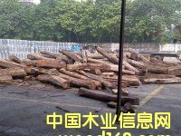 G|Sľ|ROְKľ|SMڈPԔB