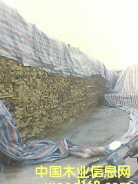 ̴|ľ|ľ|ӡ|S|M(jn)P(gun)  