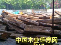 ׃ľ|ƶľ|ʳɣ|SMڈPԔB