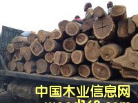 ժľ|ܠľ|X~ρľ|S|MPԔB