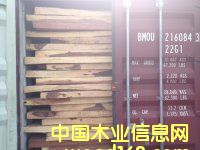 ρľ|̴|ľ|\~Kľ|S|MP