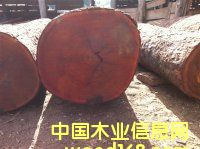 Kľ|u|Ƥɽ|ľ|S|MPԔB