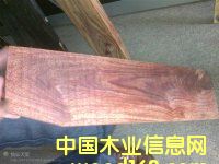 ɘ|t|ӾS¸|灆ɣ|S|MPԔB