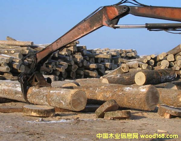 _˹֘I(y)֬F(xin)x Ԕ(x)B