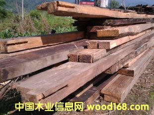 fľ fľ fľ fľϵԔB