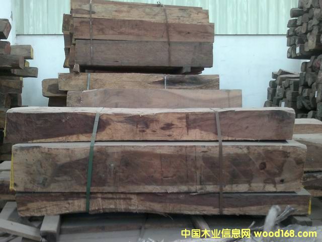 花枝的詳細介紹