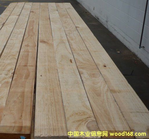 COL GRADE KD RS/S4SԔB