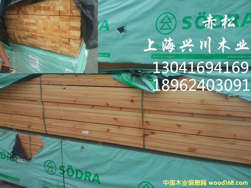 赤松的詳細介紹