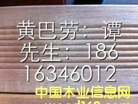 巴勞木的詳細介紹