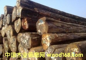 M(jn)ڈ(jin)ľ ԭľ t(jin) ׈(jin)