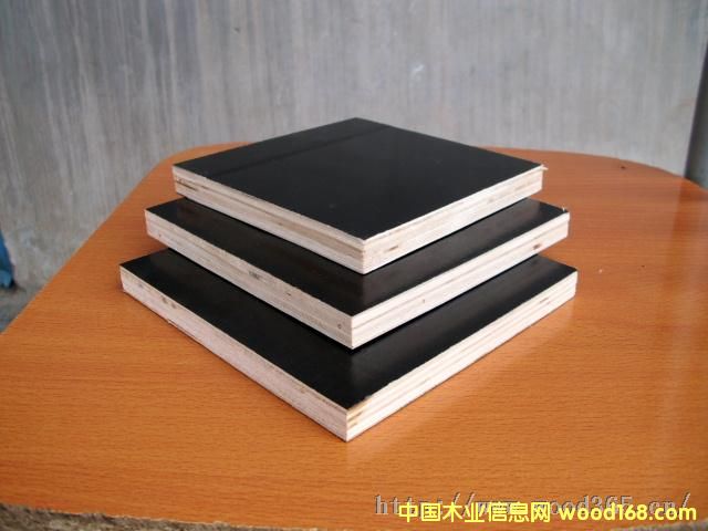 黑膜的詳細介紹