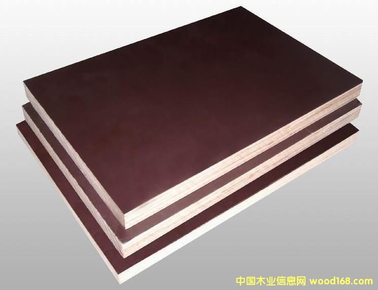 棕膜的詳細介紹