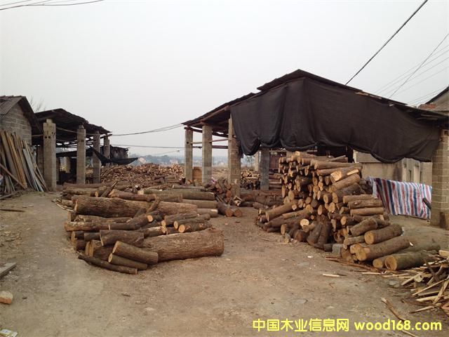 雜木的詳細介紹