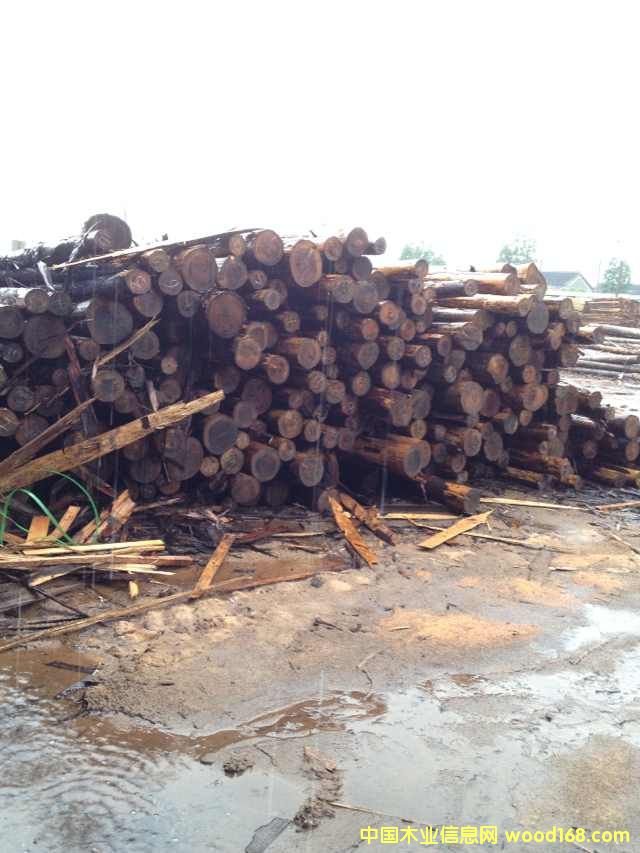 [] ձɼԭľ ɼľ ɼľ һ؛ԴM