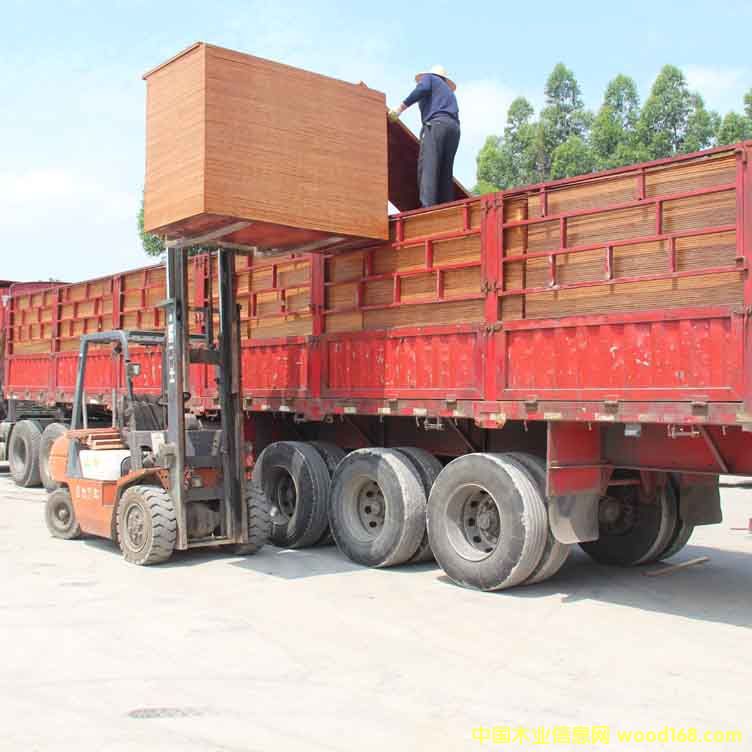 עƷ|ߏȽľzϰ塾10ģa򞡿ԔB