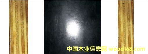 N] Ʒ|ˮĤ帲Ĥ塾gӭԃԔB