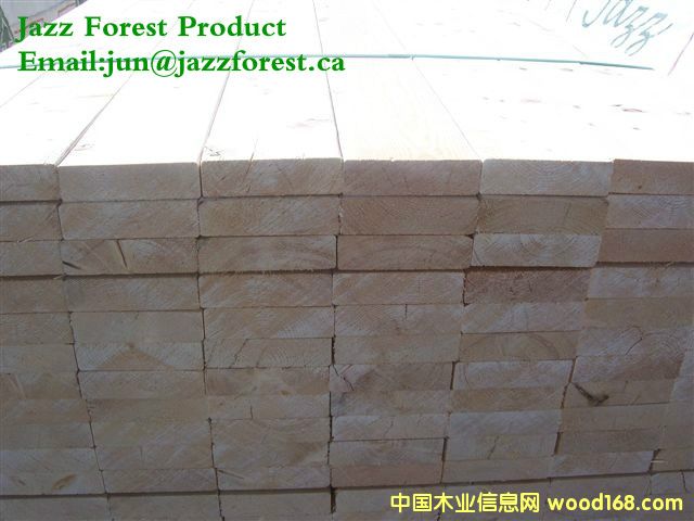 [] ôľĹ˾ֱSPFɼFɼ