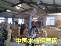 展示的詳細介紹